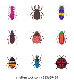 Crawling beetles icons set. Cartoon illustration of 9 crawling beetles vector icons for web