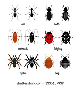 Crawling insects vector set - ant, spider, beetle, ladybug. Illustration of insect ladybug, cockroach and crawling insect
