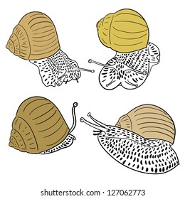 Crawling snail