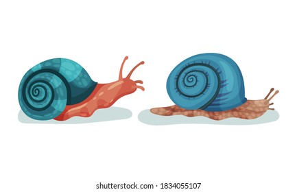 Crawling Snails as Shelled Gastropod with Coiled Shell Vector Set