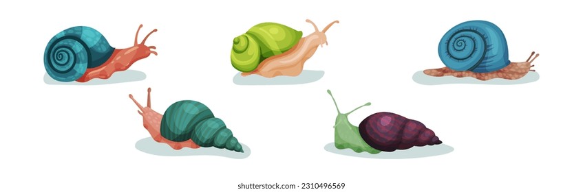 Crawling Snails as Shelled Gastropod with Coiled Shell Vector Set