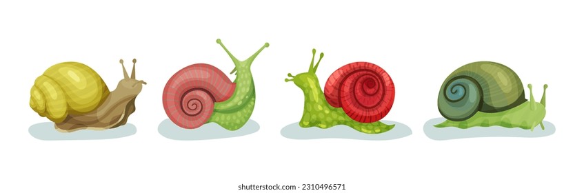 Crawling Snails as Shelled Gastropod with Coiled Shell Vector Set
