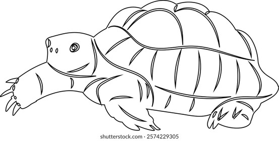 crawling turtle outline sketch vector