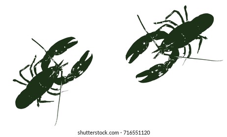 crayfish