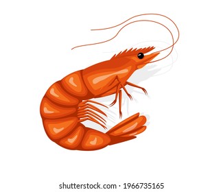 Crayfish brine shrimp circular design. Tasty cuisine restaurant seafood. vector illustration