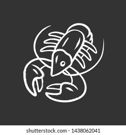 Crayfish chalk icon. Underwater sea animals, lobster. Healthy nutrition. Vitamin and diet. Seafood restaurant cuisine. Nutritious dishes. Food delicacy. Isolated vector chalkboard illustration