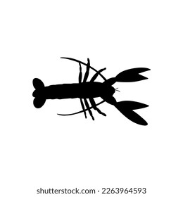 Crayfish Character sea animal on deep background. Wild life illustration. Underwear world. Vector illustration.