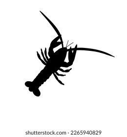 Crayfish Character sea animal on deep background. Wild life illustration. Underwear world. Vector illustration.
