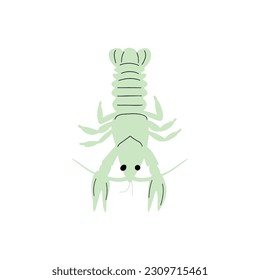 Crayfish Character sea animal on deep background. Wild life illustration. Underwear world. Vector illustration.