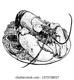 Crayfish dish with parsley and lemon, menu sketch vector illustration