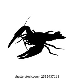 crayfish, fish, water, lake, crab, shadow, silhouette