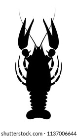 Crayfish icon. River lobster, langoustine or crustacean delicacies isolated on white background. Seafood design. Vector illustration