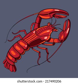 crayfish illustration