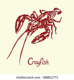 Crayfish, with inscription, hand drawn doodle, sketch in pop art style, isolated vector illustration