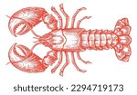 Crayfish isolated on white background. Hand drawn red crawfish, lobster sketch. Seafood vector illustration
