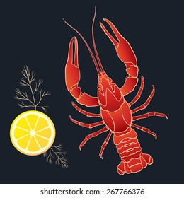 Crayfish with lemon and dill on the black background. Vector illustration