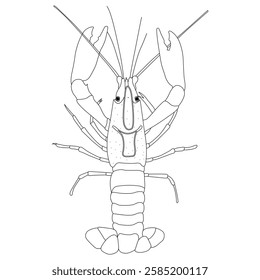 Crayfish line art vector design. Crayfish outline illustration design.