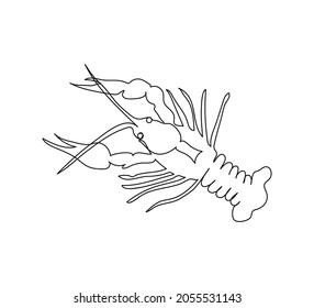 Crayfish, lobster, astacidea continuous line drawing. One line art of arthropods, marine animals.