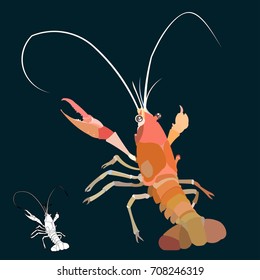 Crayfish, lobster vector Drawing