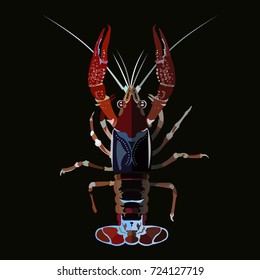 Crayfish, lobster vector Drawing