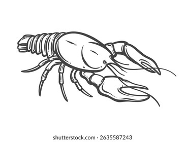 Desenho de contorno de lagosta com garras grandes em estilo desenhado à mão. Lagostins como aperitivo clássico de comida e frutos do mar. Ótimo para lanches de cerveja menu ou embalagem de alimentos. Ilustração vetorial.