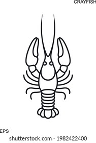 Crayfish outline. Isolated crayfish on white background