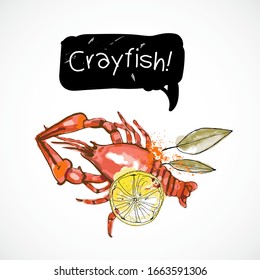 Crayfish seafood taste for packing or menu watercolor spray seafood poster on white background