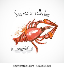 Crayfish seafood taste for packing or menu watercolor spray seafood poster on white background