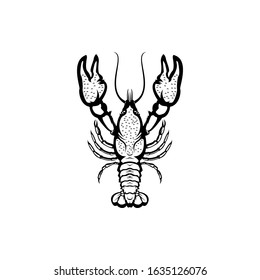 crayfish silhouette. vector illustration of crayfish