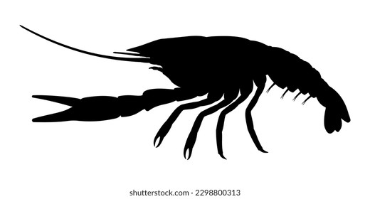 Crayfish silhouette. Vector illustration of crayfish.