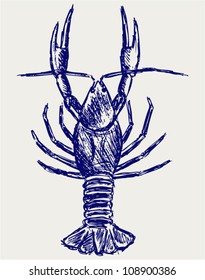 Crayfish sketch. Doodle style