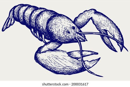 Crayfish sketch. Doodle style