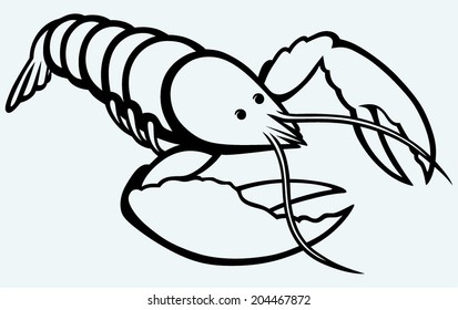 Crayfish sketch. Image isolated on blue background