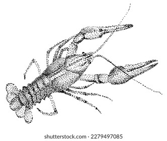 Crayfish sketch. White background. Pointillism