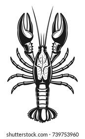 Crayfish vector detailed illustration in vintage monochrome style isolated on white background