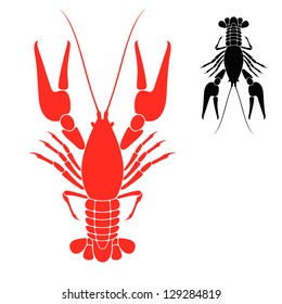 Crayfish. Vector illustration
