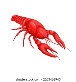 Crayfish vector illustration. Cartoon isolated red crawfish from sea beach, crustacean shellfish animal with shell, big claws and tail, natural seafood product for nutrition and tasty protein diet