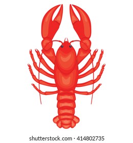 Crayfish vector illustration isolated on a white background