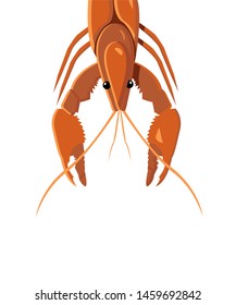 Crayfish vector illustration. For logo, menu, invitation and others.