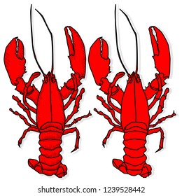 Crayfish vector illustration on a white background. Crayfish isolated on white.