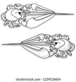 Crayfish vector illustration on a white background. Monochrome crayfish isolated on white.