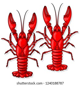 Crayfish vector illustration on a white background.