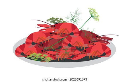 Crayfishes with dill Crown herb, a typical Swedish dish in August. Vector Illustration