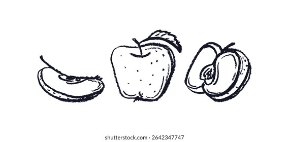 Crayon apple set, chalk sign. Vector doodle ink style. Summer fresh organic fruit isolated on white backdrop. Black abstract silhouette for poster, menu, food logo