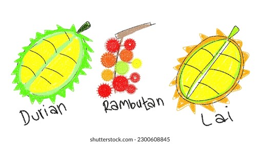 Crayon and chalk style tropical fruit illustration with fruit name underneath