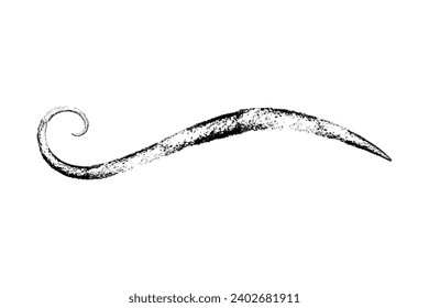 Crayon charcoal Swoosh and swoop underline typography tail shape. Brush drawn thick curved smear. Hand drawn curly swish, swash, squiggle, twiddle. Vector calligraphy doodle swirl. 