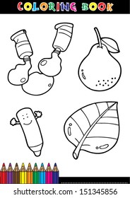 Crayon and coloring book set fruit vector illustration