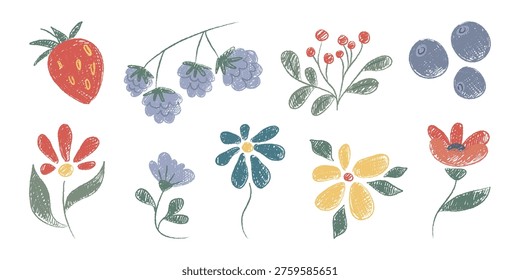 Crayon doodle flowers and berries set isolated on white. Vector illustration of cute hand drawn pastel plants, bright color botanical design, garden, field or forest elements, greeting card decoration