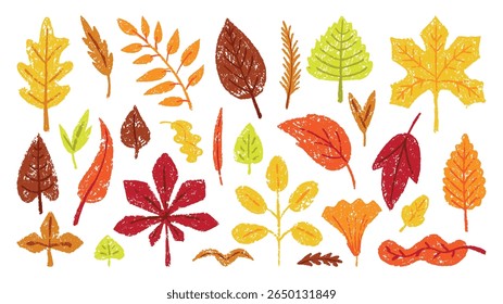 Crayon drawing autumn leaves. Leaf hand drawn colored pencil, seasonal fall plants. Foliage of maple oak birch, forest nature neoteric vector elements