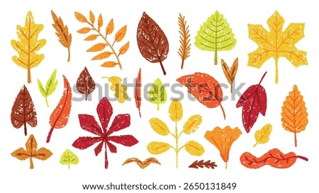 Crayon drawing autumn leaves. Leaf hand drawn colored pencil, seasonal fall plants. Foliage of maple oak birch, forest nature neoteric vector elements